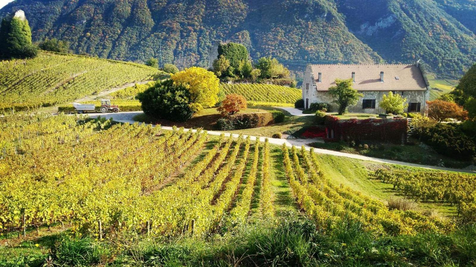 Chez Sylvie Et Guy Bed & Breakfast Chignin Bagian luar foto